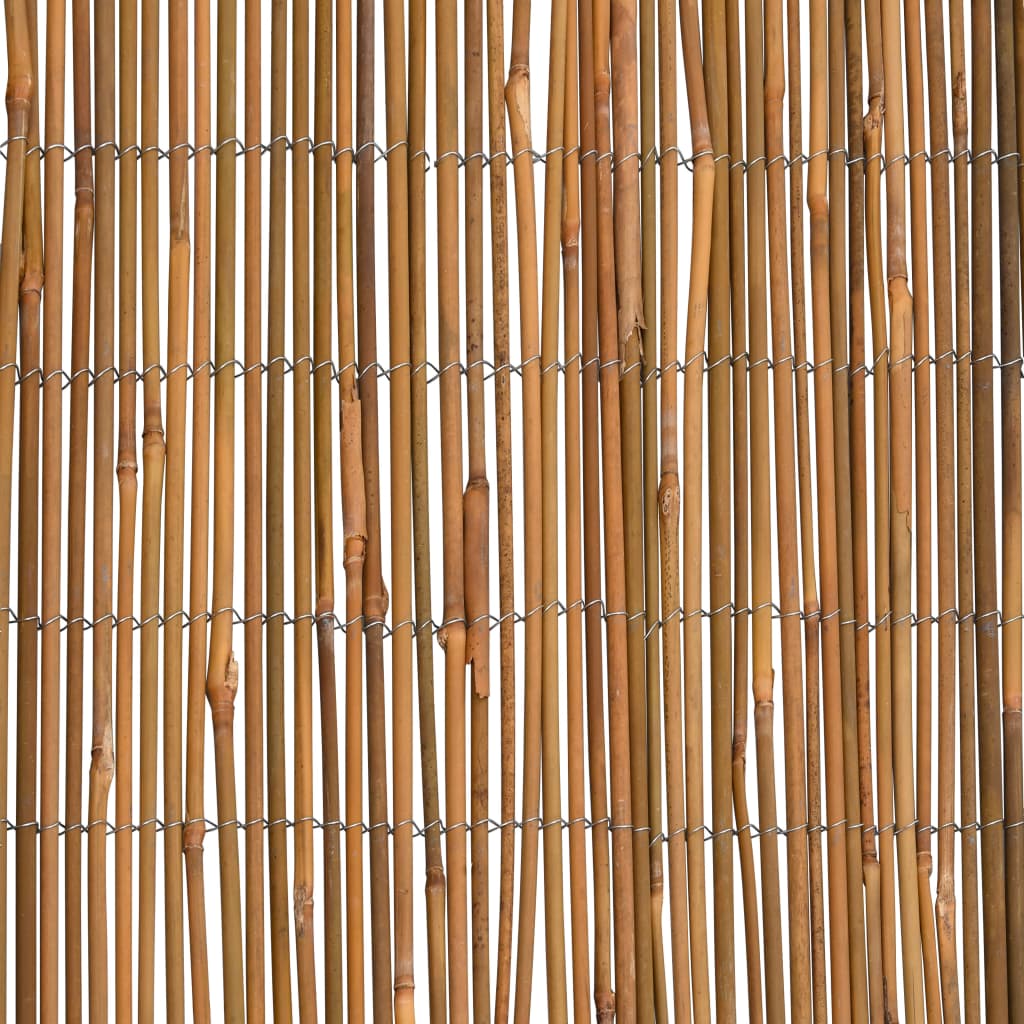 bambushegn 500 x 50 cm