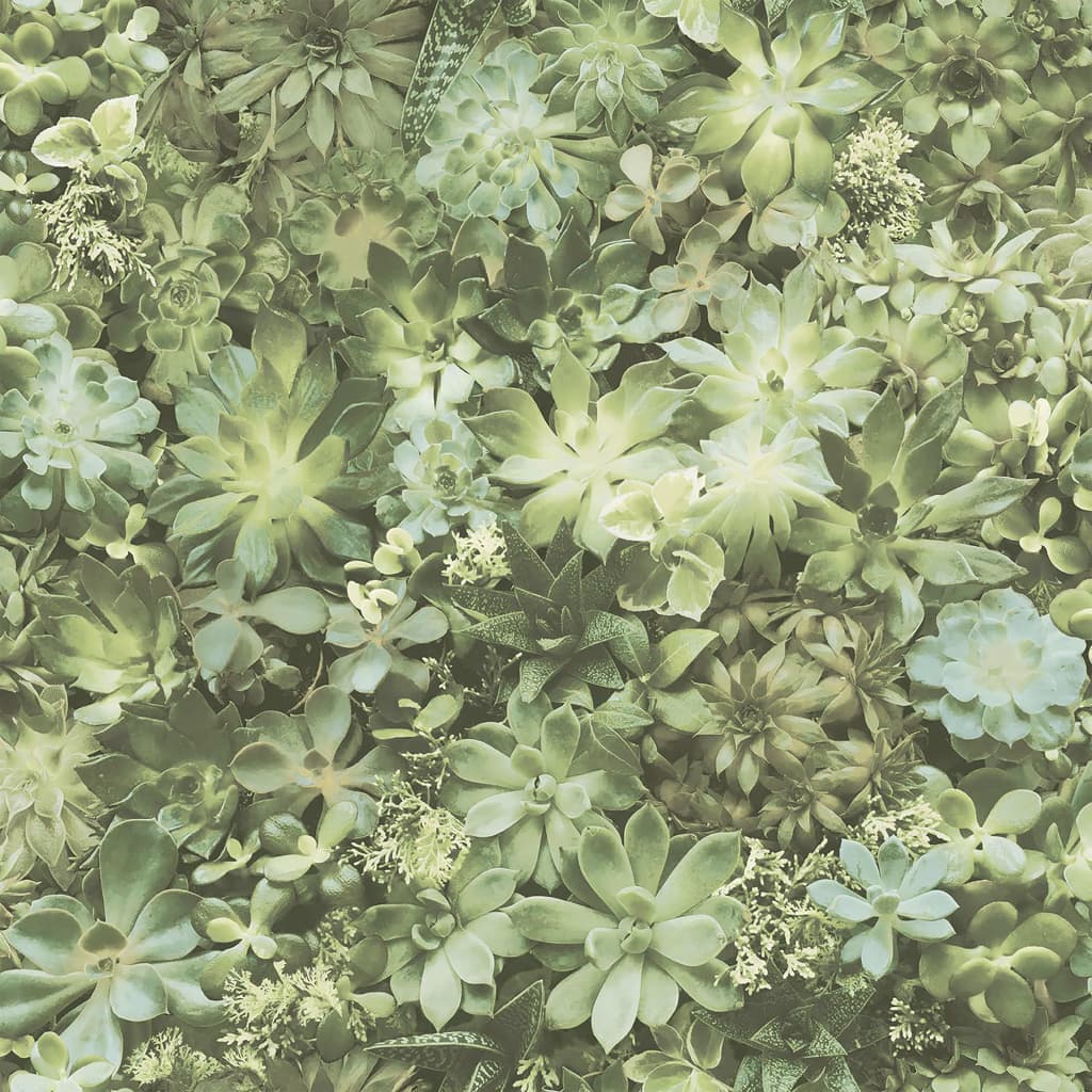 Evergreen tapet Succulent grøn og beige