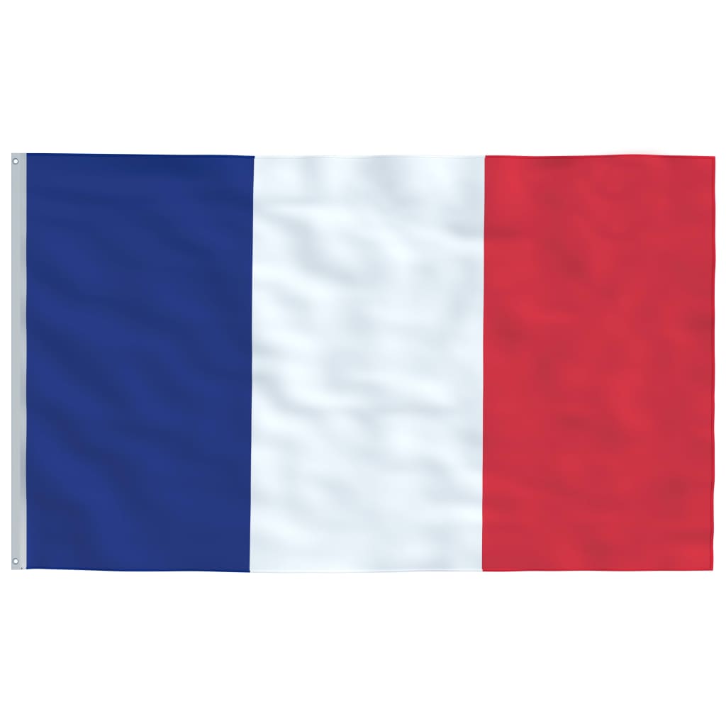 Frankrig flag og flagstang 5,55 m aluminium