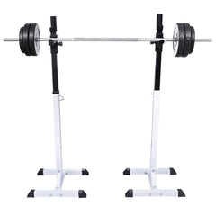 vægtstang- og squat-stativ med vægtstangs- og håndvægtesæt 60,5 kg