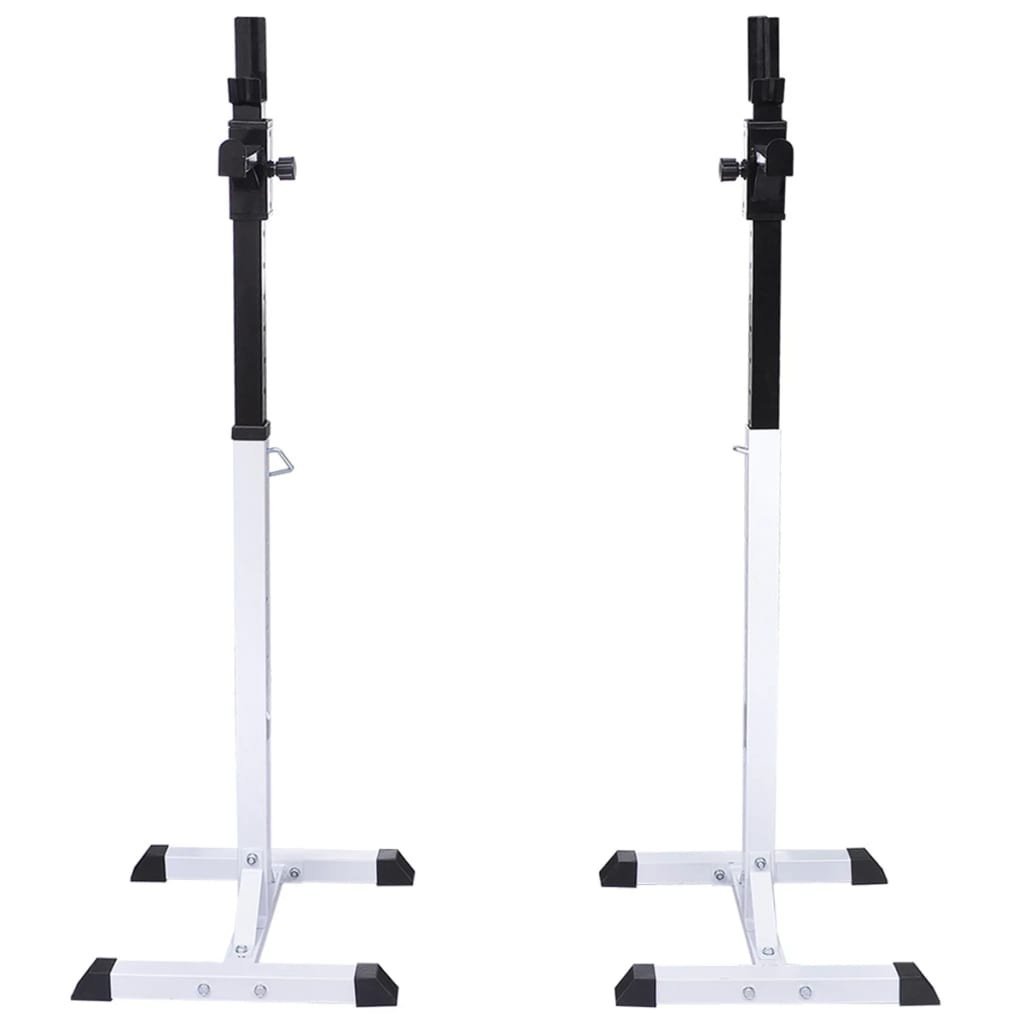 vægtstang- og squat-stativ med vægtstangs- og håndvægtesæt 60,5 kg