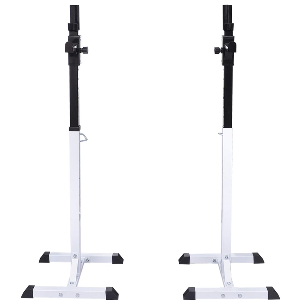 vægtstang- og squat-stativ med vægtstang- og håndvægtsæt 30,5 kg